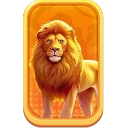 Lion
Safari